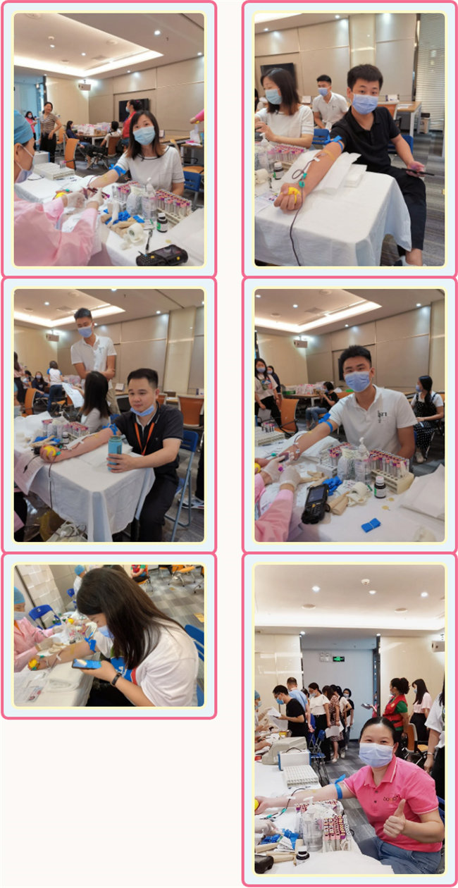 捐獻青春熱血，彩繪人生畫卷——廣東博皓總班委組織了一次“捐我熱血，呵護生命”的無償獻血公益活動    -3